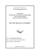 Bài thu hoạch bồi lớp bồi dưỡng chức danh nghề nghiệp giáo viên tiểu học hạng II