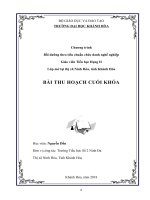 Bài thu hoạch bồi lớp bồi dưỡng chức danh nghề nghiệp giáo viên tiểu học hạng II