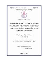 ĐÁNH GIÁ HIỆU QUẢ GIẢM ĐAU SAU mổ của PHƯƠNG PHÁP PHONG bế ESP đoạn THẮT LƯNG ở BỆNH NHÂN PHẪU THUẬT cột SỐNG THẮT LƯNG 