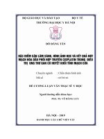 ĐẶC điểm cận lâm SÀNG, HÌNH ẢNH học và kết QUẢ nút MẠCH hóa dầu PHỐI hợp TRUYỀN CISPLATIN TRONG  điều TRỊ  UNG THƯ GAN có HUYẾT KHỐI TĨNH MẠCH cửa 