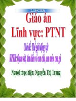 tìm hiểu về con vật nuôi trong gia đình