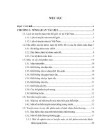 Nghiên cứu tình hình truyền máu và chế phẩm máu ở bệnh nhân chấn thương tại bệnh viện hữu nghị việt đức năm 2019   2020 
