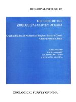 Arachnid fauna of Nallamalai Region, Eastern Ghats Andhra Pradesh, India