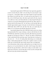 Đánh giá kết quả hóa xạ trị điều biến liều đồng thời ung thư phổi không tế bào nhỏ giai đoạn IIIb tại bệnh viện k hà nội 