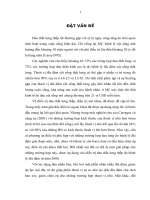 Nghiên cứu đặc điểm lâm sàng, cộng hưởng từ và hiệu quả điều trị đau thắt lưng thấp do bệnh lý đĩa đệm bằng phư¬ơng pháp đốt nhiệt nội đĩa (IDET) tại bệnh viện việt đức giai đoạn 2015 – 2019 