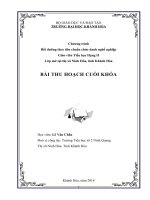 Bài thu hoạch bồi lớp bồi dưỡng chức danh nghề nghiệp giáo viên tiểu học hạng II