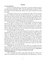 Phát triển kĩ năng dạy học cơ bản cho GV trung học phổ thông mới vào nghề 