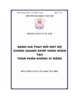 ĐÁNH GIÁ THAY đổi mật độ XƯƠNG QUANH KHỚP HÁNG NHÂN tạo TOÀN PHẦN KHÔNG XI MĂNG 