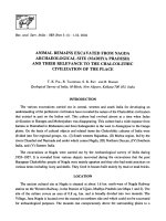 ANIMAL REMAINS EXCAVATED FROM NAGDA ARCHAEOLOGICAL SITE (MADHYA PRADESH) AND THEIR RELEVANCE TO THE CHALCOLITHIC CIVILIZATION OF THE PLACE