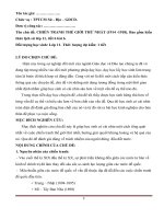 chủ đề: CHIẾN TRANH THẾ GIỚI THỨ NHẤT (1914 1918).