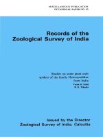 STUDIES ON SOME ORBWEAV NG SPIDERS OF THE GENERA NEOSCONA SIMON A 0 ARANEUS CLERCK OF T E FAMILY ARANE DAE (=ARGIOPIDAE) FROM INDIA