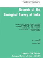 index 26 record spider