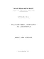 Tái cấu trúc ngân hàng và hiệu quả hoạt động ngân hàng- trường hợp Việt Nam Nơi nghiên cứu - Đại học Kinh tế TPHCM