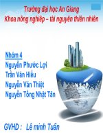 Ưu điểm cây trồng chuyển gen