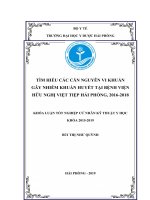 TÌM HIỂU các căn NGUYÊN VI KHUẨN gây NHIỄM KHUẨN HUYẾT tại BỆNH VIỆN  hữu NGHỊ VIỆT TIỆP hải PHÒNG, 2016 2018 