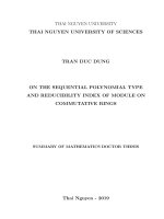 Về kiểu đa thức dãy và chỉ số khả quy của môđun trên vành giao hoán tt tiếng anh 