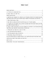 Phân tích những quy định của pháp luật kinh doanh thương mại liên quan đến hoạt động thi hành án và đưa ra hướng hoàn thiện