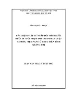 Các biện pháp tư pháp đối với người dưới 18 tuổi phạm tội theo pháp luật hình sự việt nam từ thực tiễn tỉnh quảng trị 