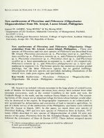 New earthworms of Pheretima and Pithemera (Oligochaeta: Megascolecidae) from Mt. Arayat, Luzon Island, Philippines