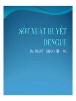 SỐT XUẤT HUYẾT DENGUE y5 