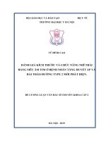 ĐÁNH GIÁ KÍCH THƯỚC và CHỨC NĂNG NHĨ TRÁI BẰNG SIÊU âm TIM ở BỆNH NHÂN TĂNG HUYẾT áp và đái THÁO ĐƯỜNG TYPE 2 mới PHÁT HIỆN 