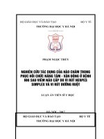 NGHIÊN CỨU TÁC DỤNG CỦA HÀO CHÂM TRONG PHỤC HỒI CHỨC NĂNG TÂM - VẬN ĐỘNG Ở BỆNH NHI SAU VIÊM NÃO CẤP DO VI RÚT HERPES SIMPLEX VÀ VI RÚT ĐƯỜNG RUỘT