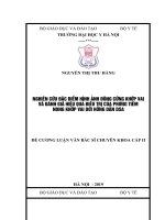 NGHIÊN cứu đặc điểm HÌNH ẢNH ĐÔNG CỨNG KHỚP VAI và ĐÁNH GIÁ HIỆU QUẢ điều TRỊ của PHƯƠNG TIÊM NONG KHỚP VAI dưới HƯỚNG dẫn DSA 