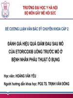 ĐÁNH GIÁ HIỆU QUẢ GIẢM ĐAU SAU mổ của ETORICOXIB UỐNG TRƯỚC mổ ở BỆNH NHÂN PHẪU THUẬT ổ BỤNG 