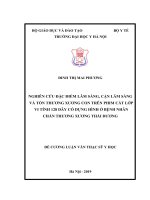 NGHIÊN cứu đặc điểm lâm SÀNG, cận lâm SÀNG và tổn THƯƠNG XƯƠNG CON TRÊN PHIM cắt lớp VI TÍNH 128 dãy có DỰNG HÌNH ở BỆNH NHÂN CHẤN THƯƠNG XƯƠNG THÁI DƯƠNG 