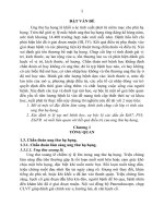 Mô tả một số đặc điểm lâm sàng, hình ảnh chụp cắt lớp vi tính của ung thư hạ họng 