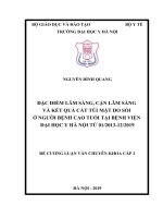 ĐẶC điểm lâm SÀNG, cận lâm SÀNG và kết QUẢ cắt túi mật DO sỏi ở NGƯỜI BỆNH CAO TUỔI tại BỆNH VIỆN đại học y hà nội từ 012013 122019 