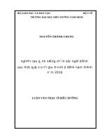 NGHIÊN cứu GÁNH NẶNG CHĂM sóc NGƯỜI BỆNH SAU đột QUỴ não tại GIA ĐÌNH ở TỈNH NAM ĐỊNH năm 2016 