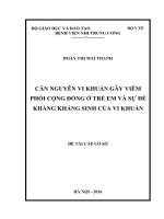 CĂN NGUYÊN VI KHUẨN gây VIÊM PHỔI CỘNG ĐỒNG ở TRẺ EM và sự đề KHÁNG KHÁNG SINH của VI KHUẨN 