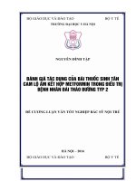 ĐÁNH GIÁ tác DỤNG của bài THUỐC SINH tân CAM lộ ẩm kết hợp METFORMIN TRONG điều TRỊ BỆNH NHÂN đái THÁO ĐƯỜNG TYP 2 