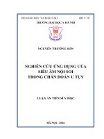 NGHIÊN cứu ỨNG DỤNG của SIÊU âm nội SOI TRONG CHẨN đoán u tụy 