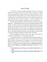 Đánh giá hiệu quả và tính an toàn của dienogest  trong điều trị bệnh tuyến cơ tử cung 