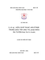 ĐÁNH GIÁ HIỆU QUẢ THUỐC ERLOTINIB TRONG ĐIỀU TRỊ UNG THƯ PHỔI BIỂU MÔ TUYẾN GIAI ĐOẠN MUỘN