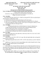 DE THI CHON HSG CAP TRUONG 2019