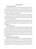 bài tiểu luận đã sửa