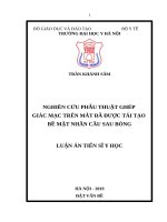 Nghiên cứu phẫu thuật ghép giác mạc trên mắt đã được tái tạo bề mặt nhãn cầu sau bỏng (FULL TEXT)