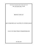 Quản trị nhân lực tại công ty cổ phần Ollin (Luận văn thạc sĩ)