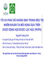 Tối ưu phác đồ kháng sinh trong điều trị nhiễm khuẩn tai mũi họng dựa trên dược động học dược lực học 