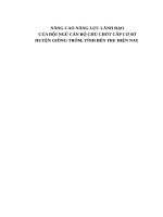 NÂNG CAO NĂNG LỰC LÃNH ĐẠO CỦA ĐỘI NGŨ CÁN BỘ CHỦ CHỐT CẤP CƠ SỞ HUYỆN GIỒNG TRÔM, TỈNH BẾN TRE HIỆN NAY