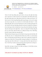 Quan điểm vận dụng của Đảng ta về vấn đề dân tộc trong công cuộc đổi mới đất nước. Bài tập nhóm Tư tưởng Hồ Chí Minh 9 điểm.