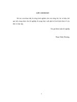 Nâng cao chất lượng hoạt động cho vay ngắn hạn của ngân hàng thương mại cổ phần đông nam á  SeABank chi nhánh hà đông