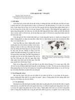 Các giai đoạn lịch sử phát triển trái đất: Arkei (Liên nguyên đại – Liên giới)