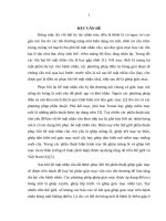 Nghiên cứu phẫu thuật ghép giác mạc trên mắt đã được tái tạo bề mặt nhãn cầu sau bỏng