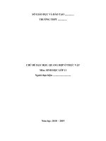 CHỦ ĐỀ: QUANG HỢP Ở THỰC VẬT