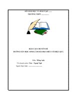 CHUYÊN ĐỀ: HƯỚNG DẪN HỌC SINH LÀM BÀI ĐỌC HIỂU CÓ HIỆU QUẢ
