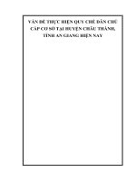 VẤN ĐỀ THỰC HIỆN QUY CHẾ DÂN CHỦ  CẤP CƠ SỞ TẠI HUYỆN CHÂU THÀNH,  TỈNH AN GIANG HIỆN NAY